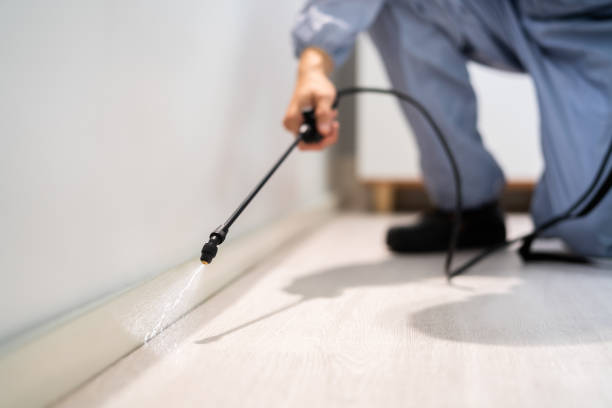 Licensed Pest Control service in Los Alamos, NM - Show Me Pest Control